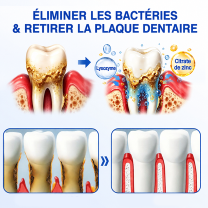 🦷✨ 𝑷𝒖𝒓𝒆𝒍𝒐𝒓𝒂® 𝑮𝒖𝒎𝑹𝒆𝒗𝒊𝒗𝒆 𝑮𝒆𝒍 𝒅𝒆 𝑹é𝒑𝒂𝒓𝒂𝒕𝒊𝒐𝒏 𝑷𝒂𝒓𝒐𝒅𝒐𝒏𝒕𝒂𝒍𝒆